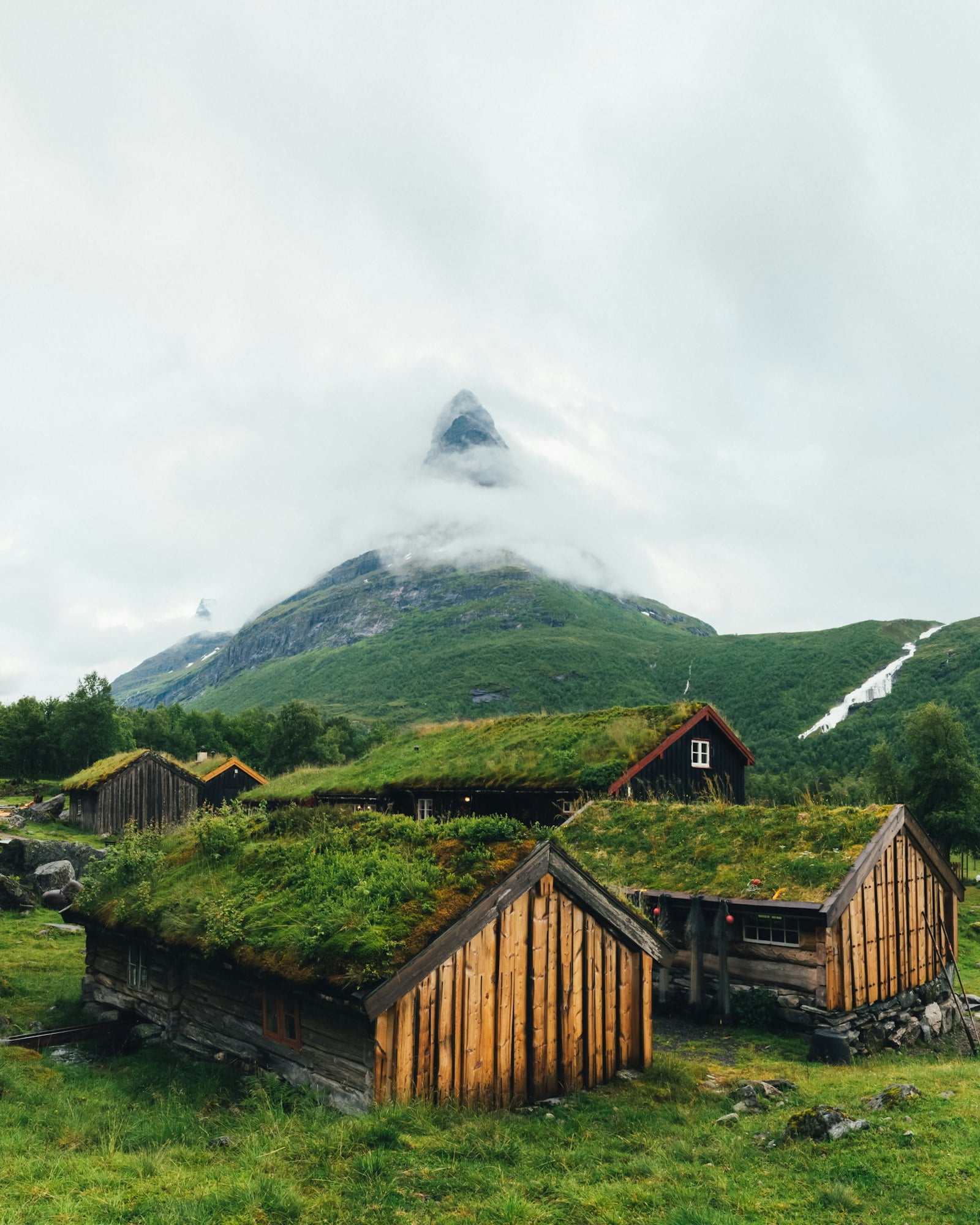 Norwegian grass roof old house