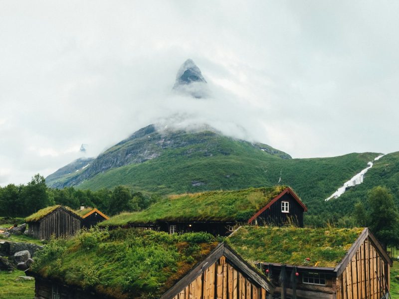 Norwegian grass roof old house